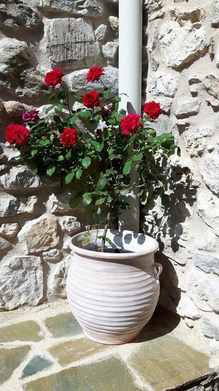 Arxontiko Taygeti Hotel Mystras Luaran gambar