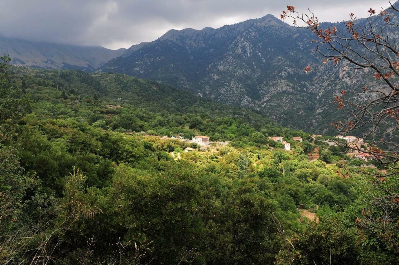 Arxontiko Taygeti Hotel Mystras Luaran gambar